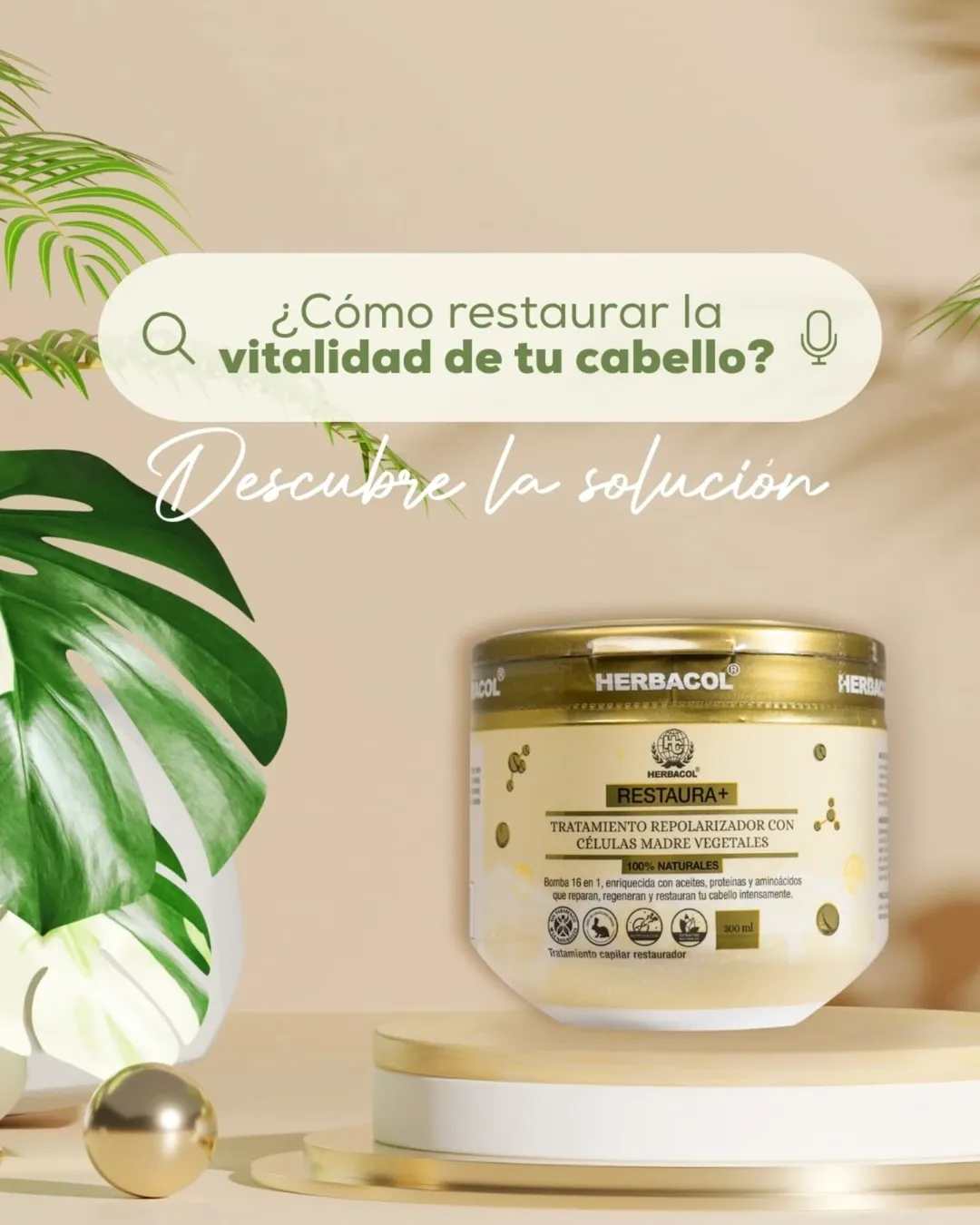 Tratamiento Repolarizador Celulas Madre